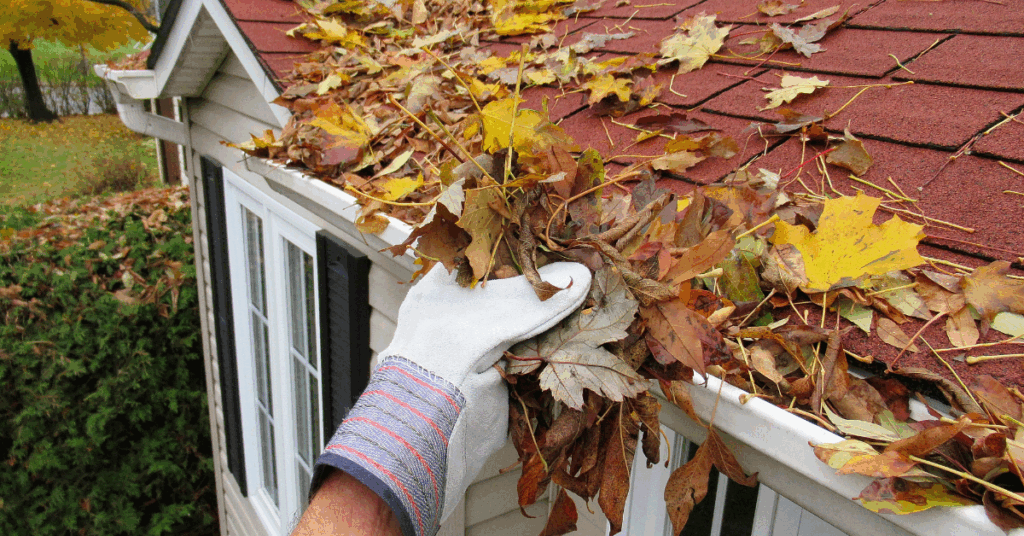 a person cleaning out the gutters in november